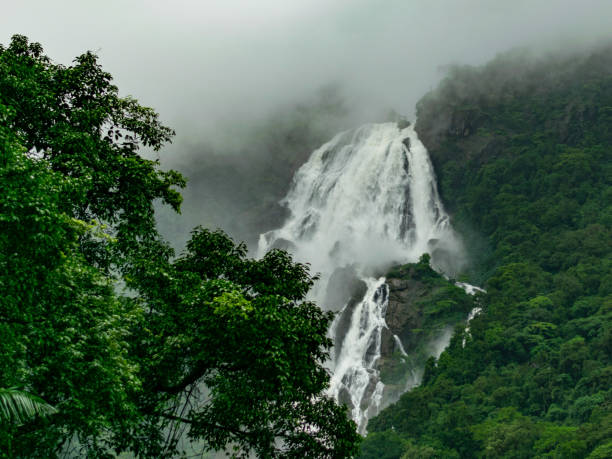 Dudhsagar Waterfall: The Ultimate 2025 Goa Trip Guide